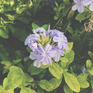 Meet your Posher, Sofia